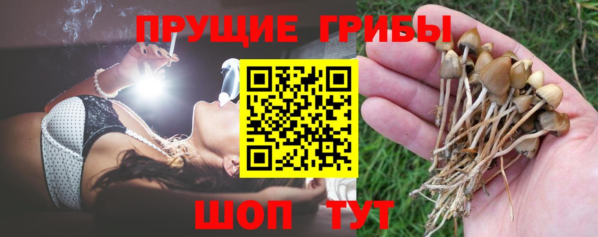 Псилоцибиновые грибы GOLDEN TEACHER  Вход с VPN  Ирбит 